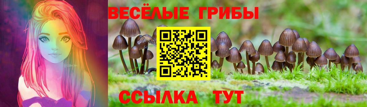 Осинники  Псилоцибиновые грибы GOLDEN TEACHER  Вход с VPN  Псилоцибиновые грибы ЛСД 